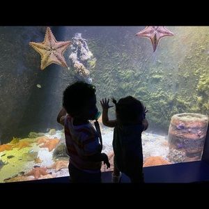 Meet your Posher, Joannelly